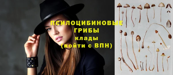 прущая мука Богданович