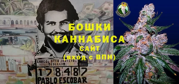 прущая мука Богданович