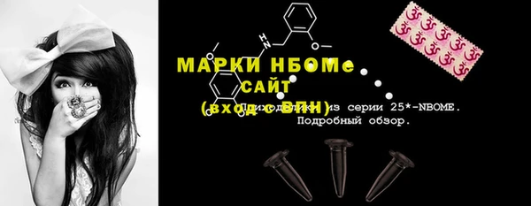 прущий лед Бородино