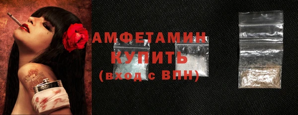 прущий лед Бородино