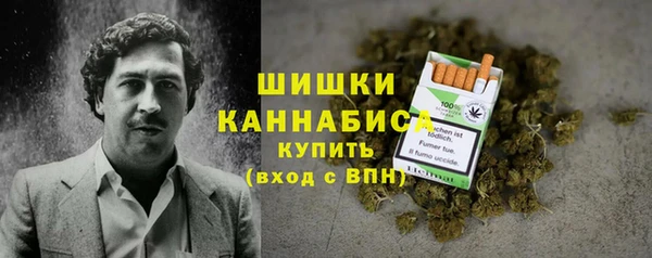 стаф Богородск